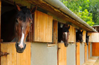 free South Pelaw stable construction quotes
